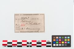 Etiketten zu Bronzearmreif (NHMW-PRAE-024842)
